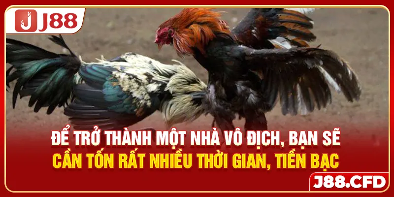 Để trở thành một nhà vô địch, bạn sẽ cần tốn rất nhiều thời gian, tiền bạc