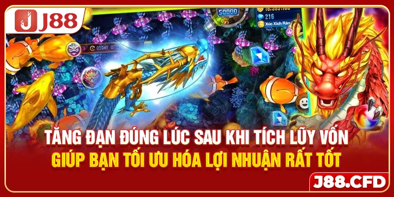 Tăng đạn đúng lúc sau khi tích lũy vốn giúp bạn tối ưu hóa lợi nhuận rất tốt