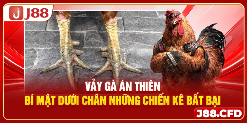 vay-ga-an-thien-bi-mat-duoi-chan-nhung-chien-ke-bat-bai